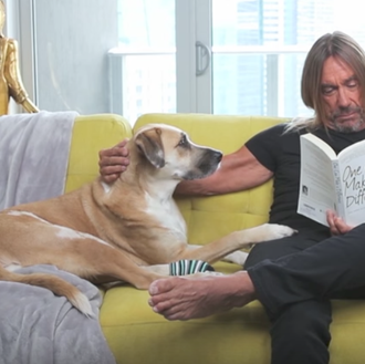 Sé la persona que tu perro cree que eres: palabra …