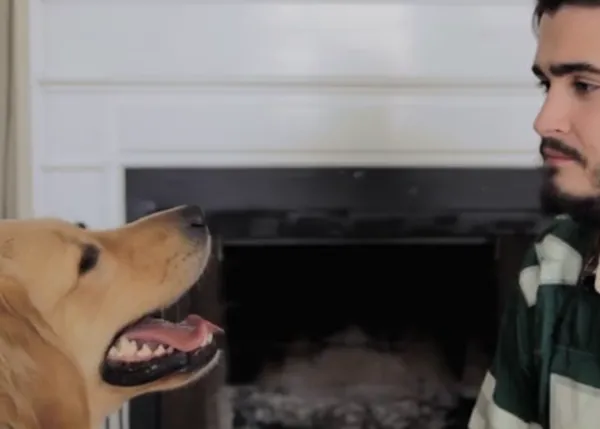 Equipo ganador: cómo cambia la vida con un perro de asistencia