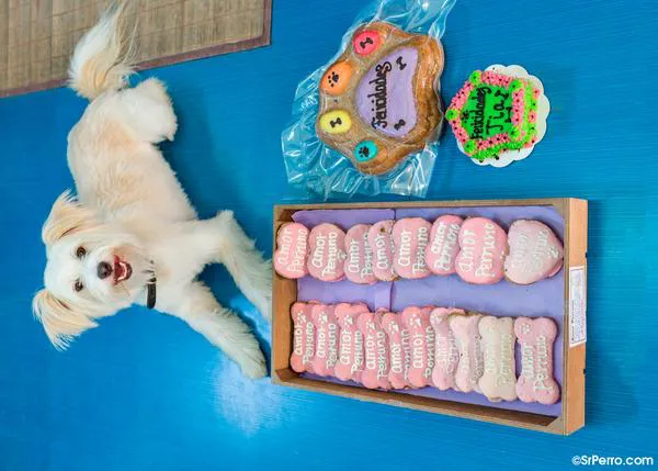 Miembros de la familia con derecho a tarta de cumpleaños: 
