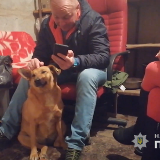 Una perra callejera en Ucrania alerta de la necesidad de …