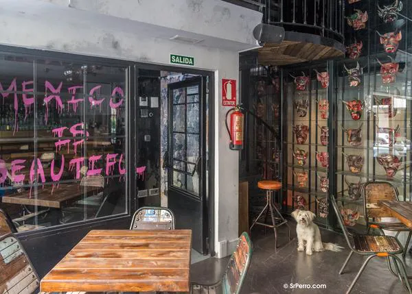 De Japón a México pasando por Australia y Francia: comidas del mundo en Madrid y junto a tu perro