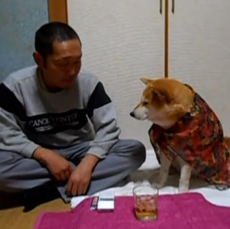 El mejor compañero para las cenas navideñas...