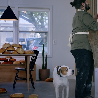 #OKHooman, una parodia de las locuras humanas durante los confinamientos …