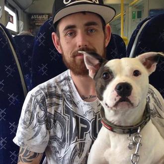 Imposible no sonreír al ver el recibimiento de este perro …