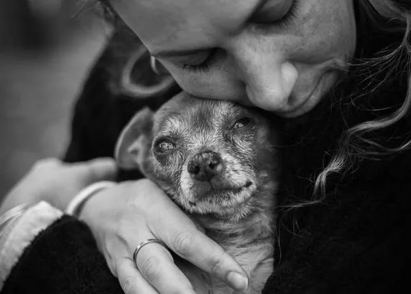 Una fotógrafa regala sesiones de retratos a familias antes de la despedida final de su animal de compañía