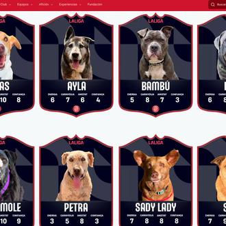Ningún Perro Fuera de Juego: el Girona FC fomenta las …