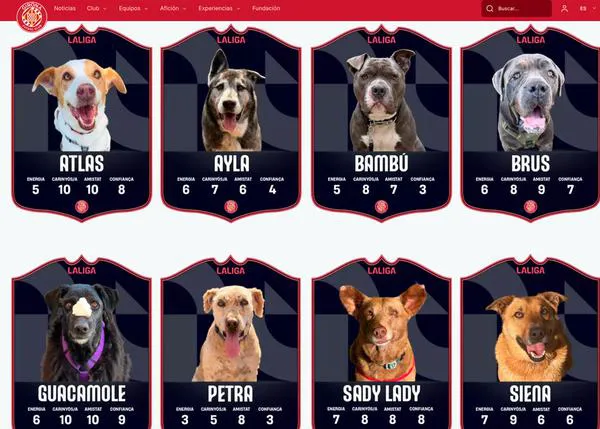 Ningún Perro Fuera de Juego: el Girona FC fomenta las adopciones de perros en colaboración con Fundación Anxova Peluda