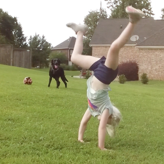 Cuando Lillee conoció a Sally: o cómo una perra guía …