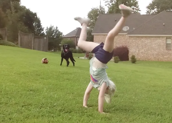 Cuando Lillee conoció a Sally: o cómo una perra guía cambió la vida de una niña y toda su familia