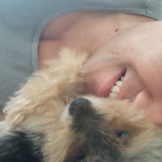 El perro que acariciaba a los humanos... protagonizado por Rilo …