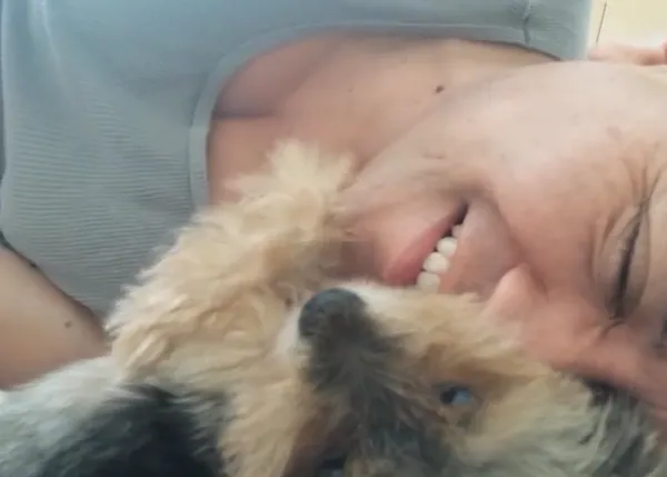 El perro que acariciaba a los humanos... protagonizado por Rilo, el Yorkie