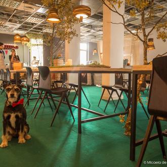 The Hovse: moda, regalos y decoración, un plan con mucho …