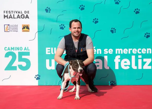 Perros en adopción pasean por la alfombra roja del Festival de Málaga