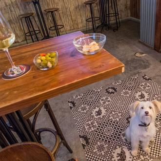 Agenda SrPerro en septiembre: planazos frescos, solidarios, gourmet... ¡y todos …