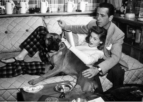 Un cementerio de animales con historia: el cielo de los animales de Hollywood
