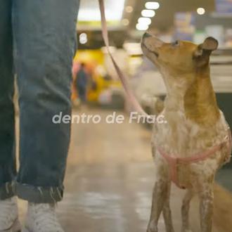 ¿Entrar con perro en Fnac? ¡Yes we CAN! Fnac España …