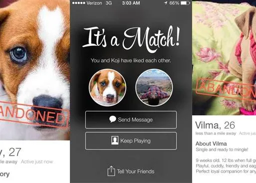 Ideas originales para fomentar la adopción: perfiles perrunos en un servicio de dating para humanos