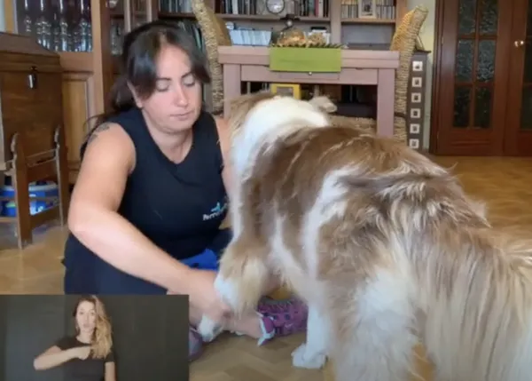 Perruneando lanza el primer curso online de educación canina para cachorros adaptado a Lengua de Signos Española