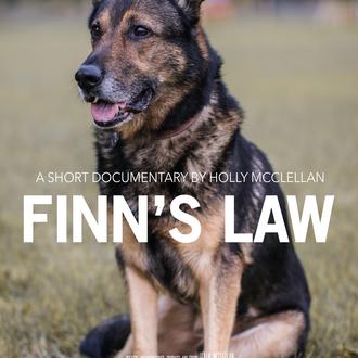 La ley de Finn: la legislación que protege a perros …