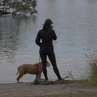 Los protocolos contra la violencia de género deben incluir a …