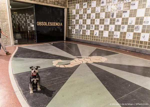 Paseos con arte (y perro): Espacio e Identidad, una expo y la sorprendente arquitectura de Madrid