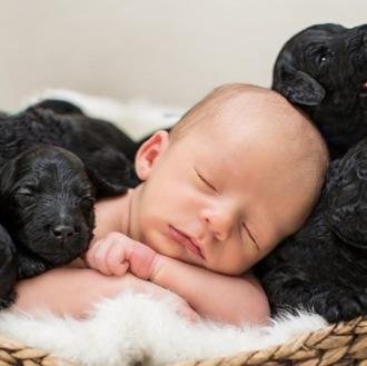 Bebés por partida múltiple, una sesión de fotos que derrite …
