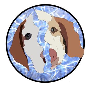 Kira y Kiko,  rescatados siendo cachorrotes, mueren ahogados 