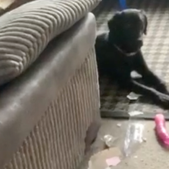 Una pareja descubre, a su pesar y 