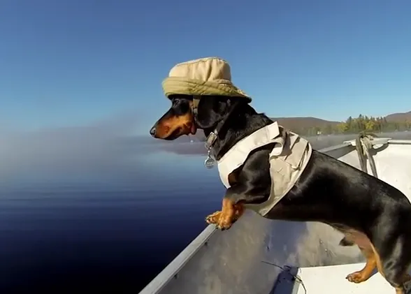 Las aventuras (y modelines) de Crusoe, el salchicha famoso o 