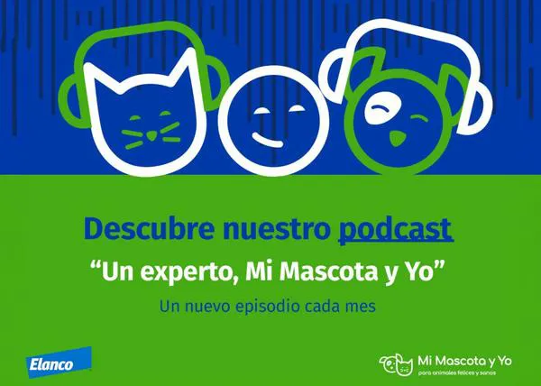 Nuevo podcast muy animal: 