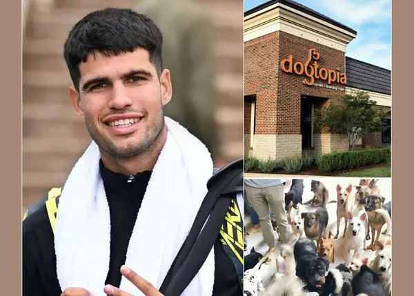 Ni Alcaraz ni Nadal van a crear un refugio para perros abandonados y en Alemania no hay “Pet Parking Pods” en la mayoría de supermercados