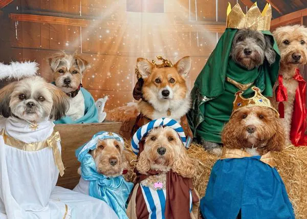 Nueva y divina edición del belén más simpático: ocho perros recrean la Natividad
