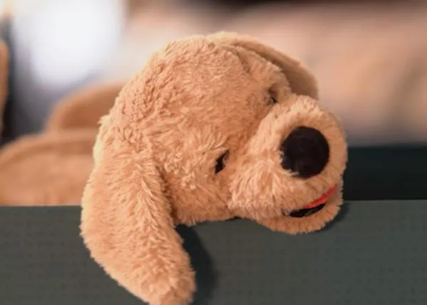 #AdoptaUnPeluche: porque la decisión de convivir con un perro cambia su vida para siempre