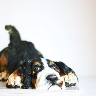 El arte del pastel perruno: Cake Doggy Dog