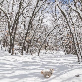 La ola de frío y la borrasca Francis también afectan …