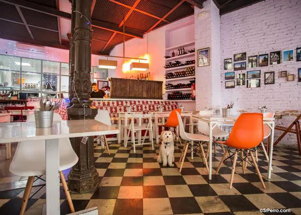 20 Bares y cafés dog friendly para celebrar el Día Mundial de la Tapa con perro (y escapar del calor)