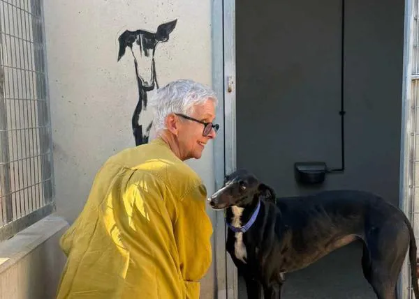 Sally Muir en Galgos del Sol: murales perrunos que alegran mucho la vista