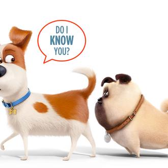 Trastadas y personajazos perrunos: nuevo trailer de 