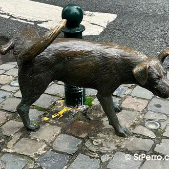 Ciudades de España en las que es obligatorio echar agua …