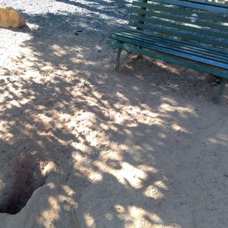 Recogen firmas para luchar por un espacio digno para los …