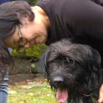 Dos peregrinas japonesas regresan a Galicia para adoptar al perro …