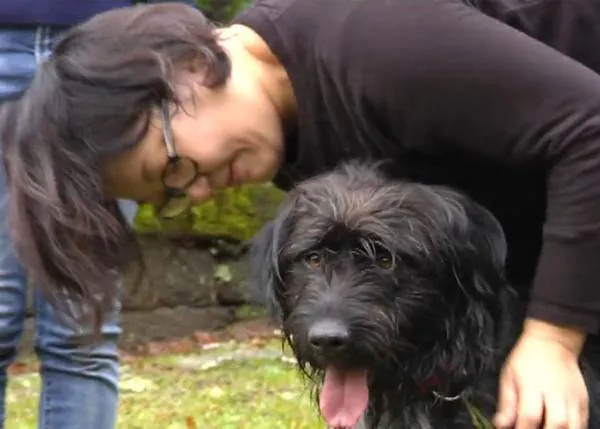 Dos peregrinas japonesas regresan a Galicia para adoptar al perro que las acompañó durante todo el Camino