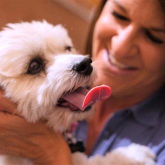 Noah's Animal House: una década ayudando a los animales …