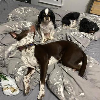 ¿Cómo es la vida en una casa de acogida múltiple …