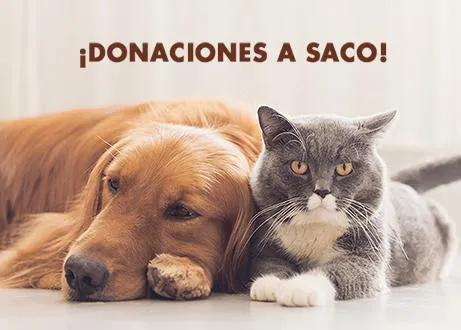 ¡Donaciones a Saco con Nutro estas Navidades!