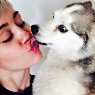 Miley Cyrus, emocionada hasta las lágrimas en un concierto tras …