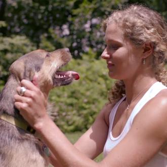 ¿Qué fue de los perros que los atletas americanos adoptaron …