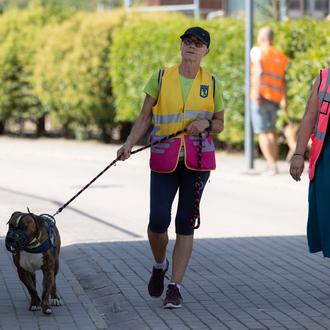 8000 paseos al año, juegos y compañía: así ayudan los …