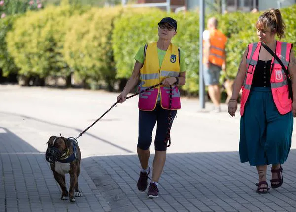 8000 paseos al año, juegos y compañía: así ayudan los voluntarios a perros y gatos del Centro de Protección Animal de Madrid