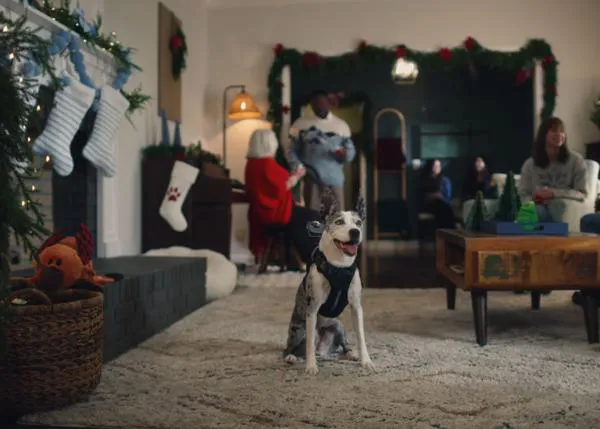 La Navidad desde el punto de vista de una perra muy trasto... Una NaviDOG llena de risas y ladridos